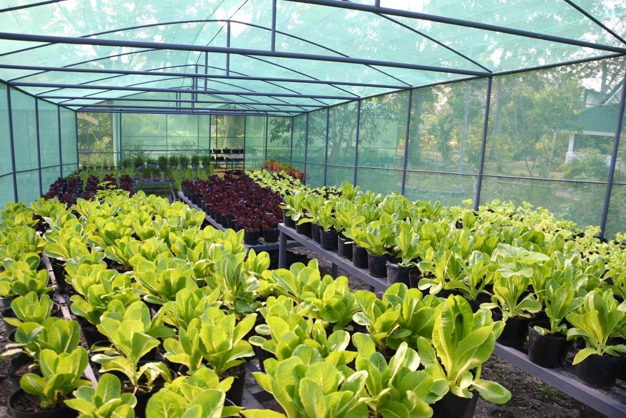 Badian Island Wellness Resort Kültér fotó